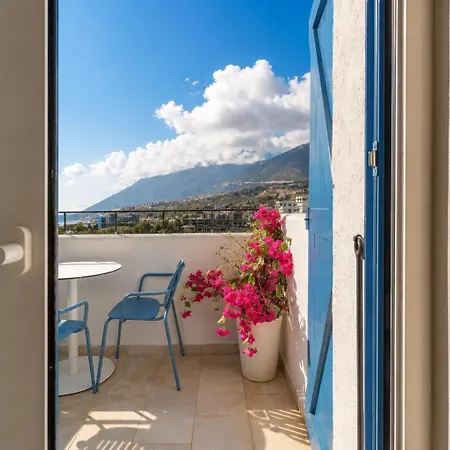 Daire Sant By Brad Santorini